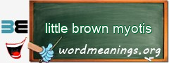 WordMeaning blackboard for little brown myotis